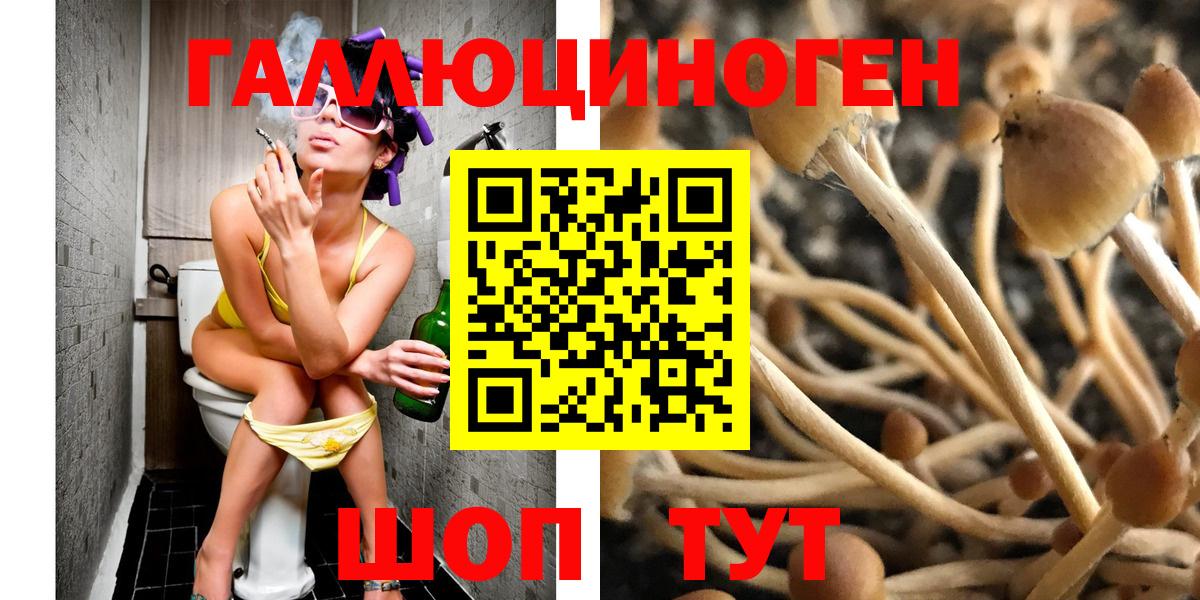Псилоцибиновые грибы мицелий  Вход с VPN  Серов 